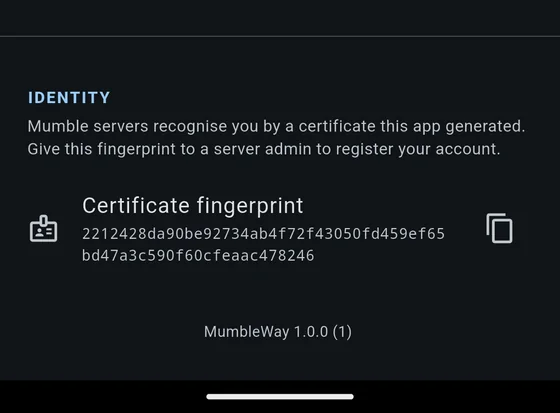 The identity section showing the certificate fingerprint, with a button to copy it.